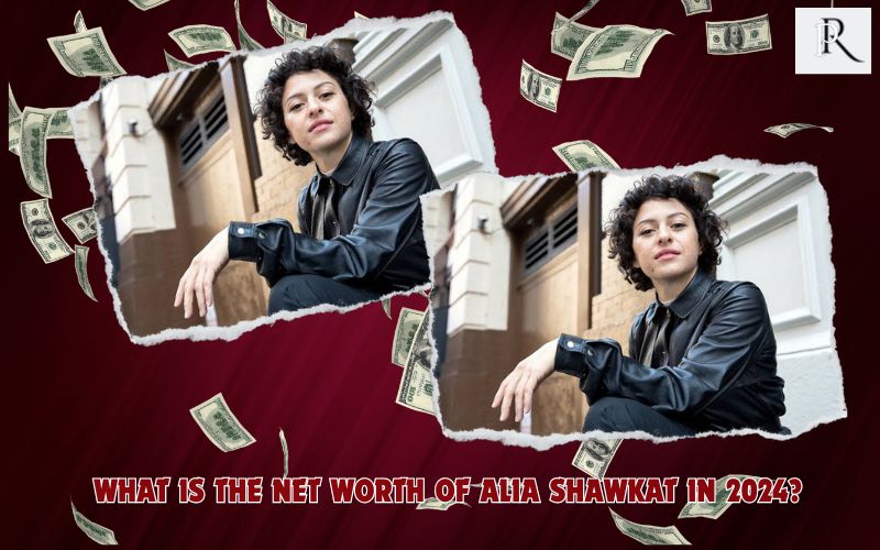 What is Alia Shawkat's net worth in 2024