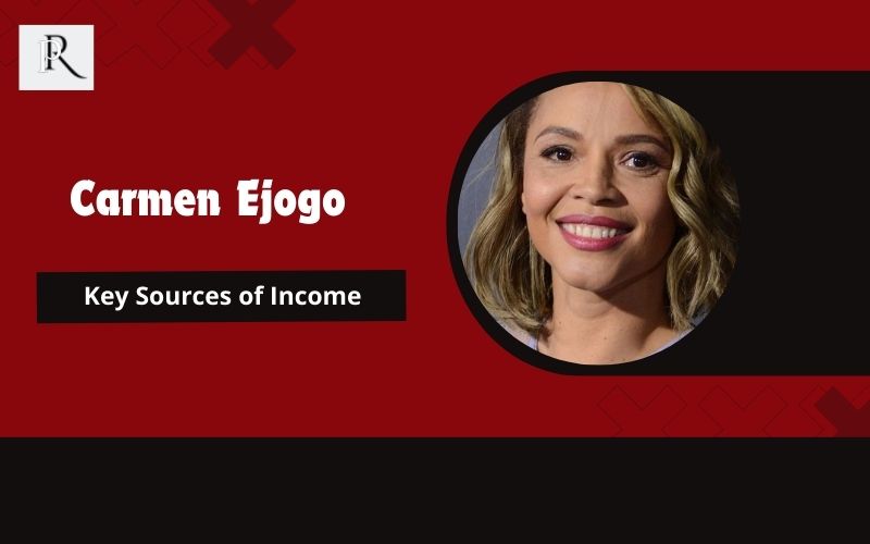 Main sources of income that contribute to Carmen Ejogo's wealth