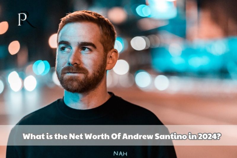 What is Andrew Santino's net worth in 2024?