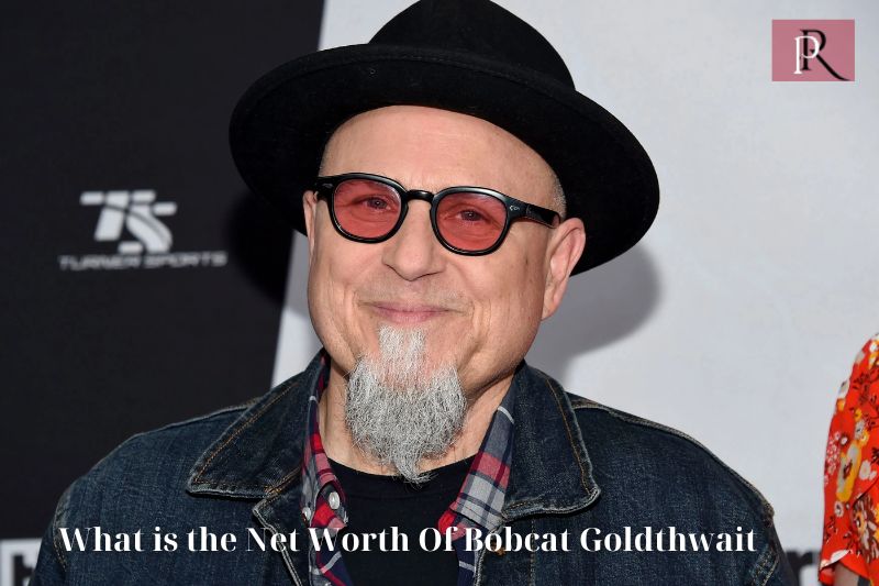 What is the net worth of Bobcat Goldthwait 2024