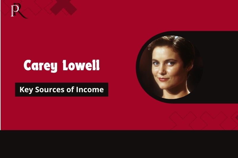 Carey Lowell Main source of income