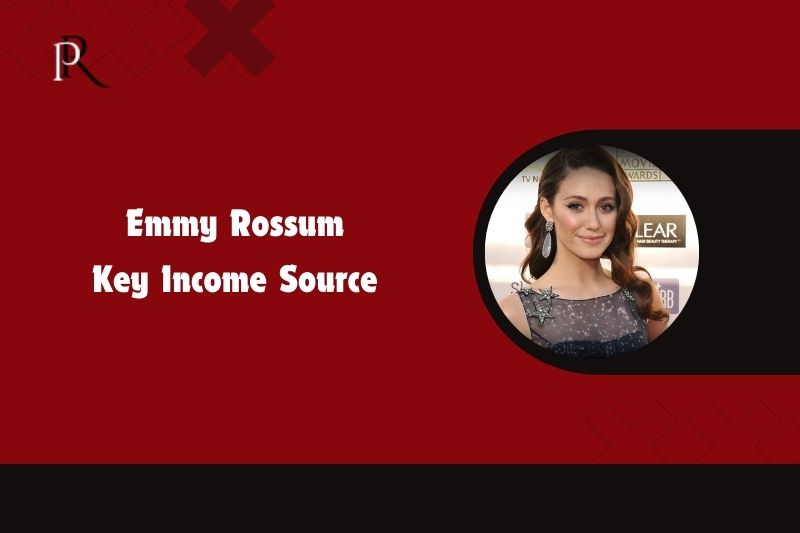 Emmy Rossum's main source of income