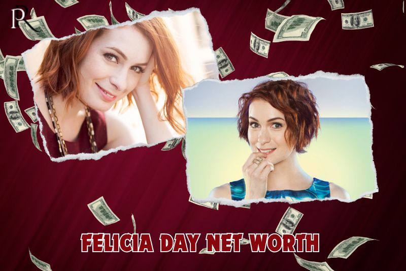 What is Felicia Day's net worth in 2024