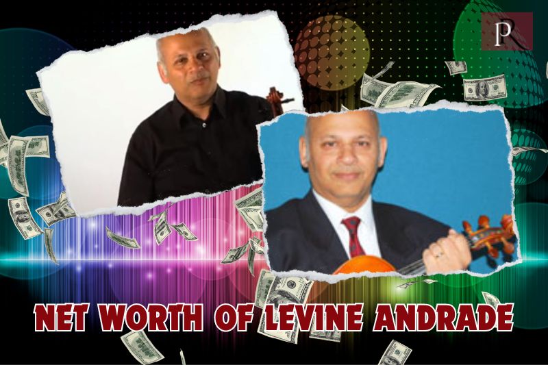 What is Levine Andrade's net worth in 2024