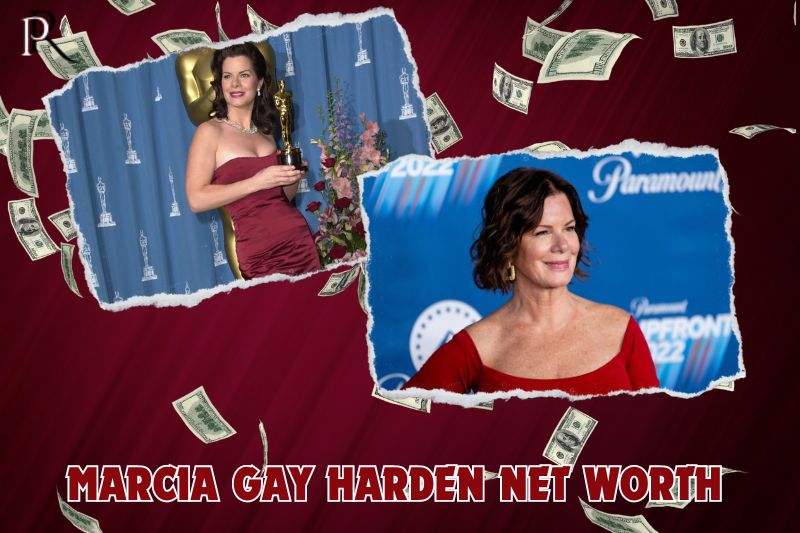 What is Marcia Gay Harden's net worth in 2024