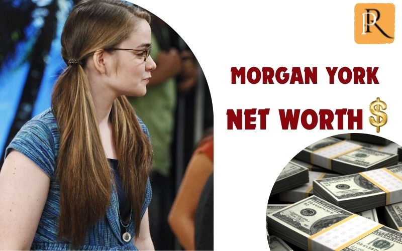 What is Morgan York's net worth in 2024
