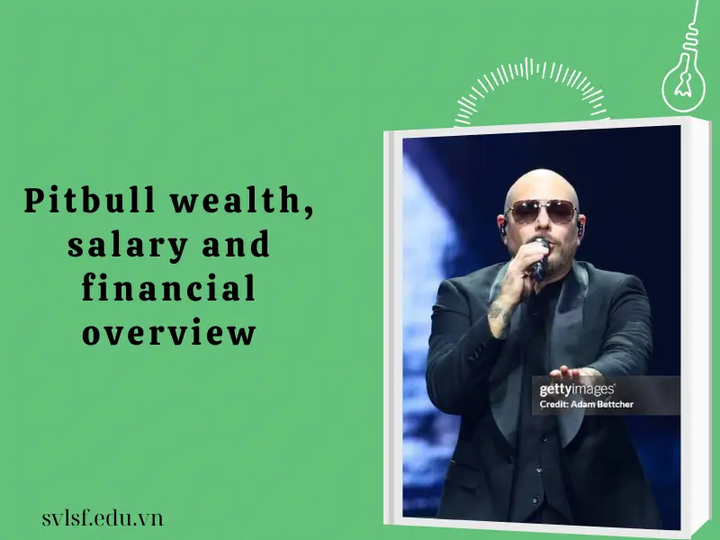 Pitbull wealth, salary and financial overview