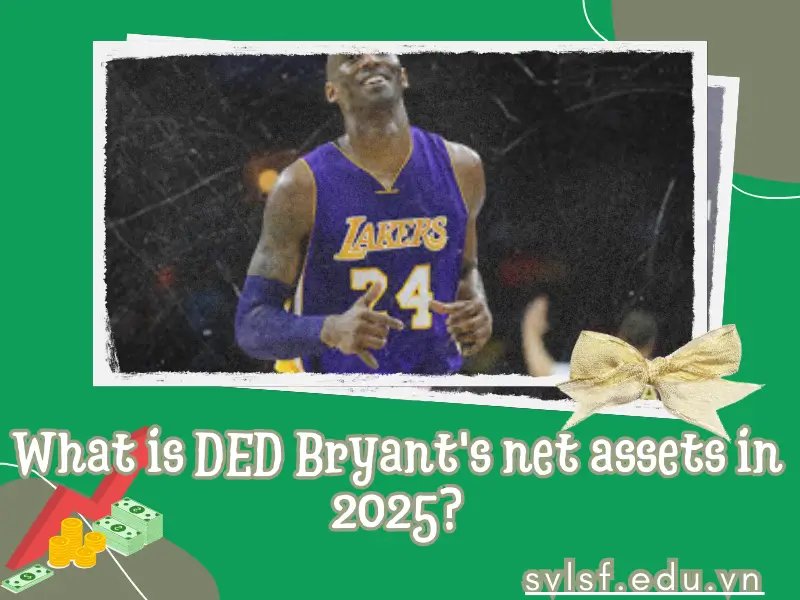What is DED Bryant's net assets in 2025?