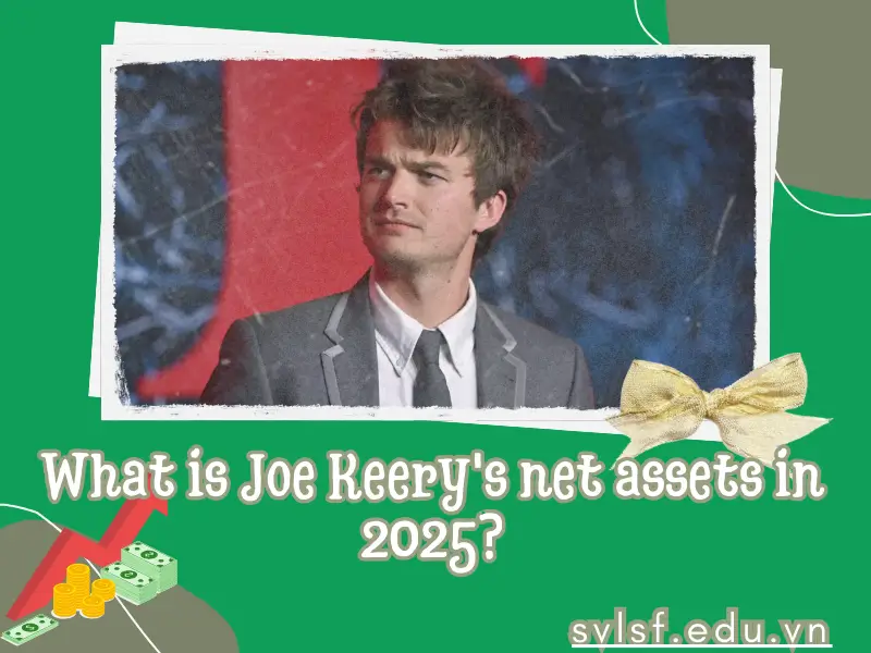 What is Joe Keery's net assets in 2025?