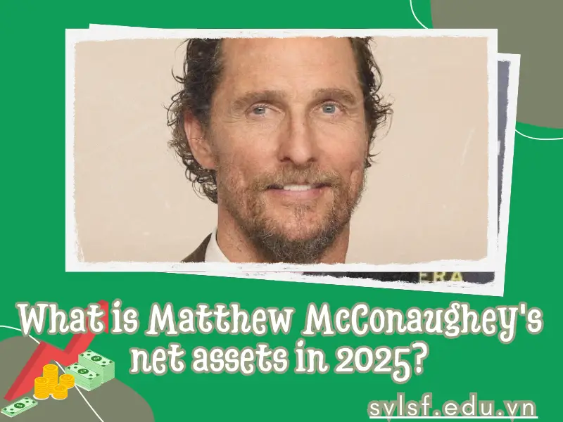 What is Matthew McConaughey's net assets in 2025?