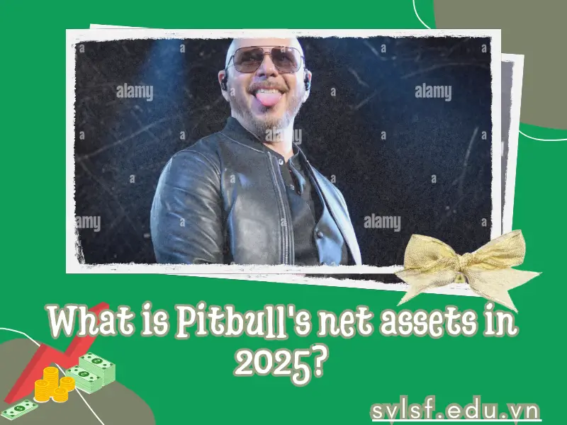 What is Pitbull's net assets in 2025?