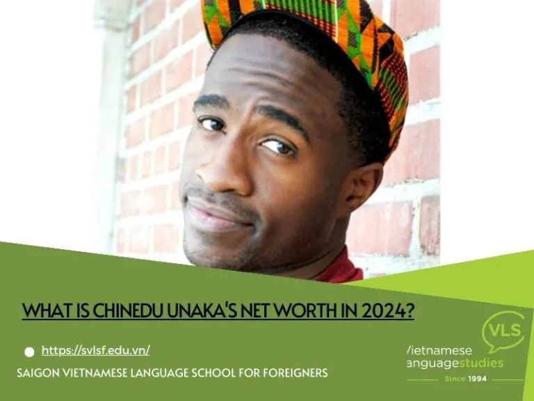 What is Chinedu Unaka's net worth in 2024?