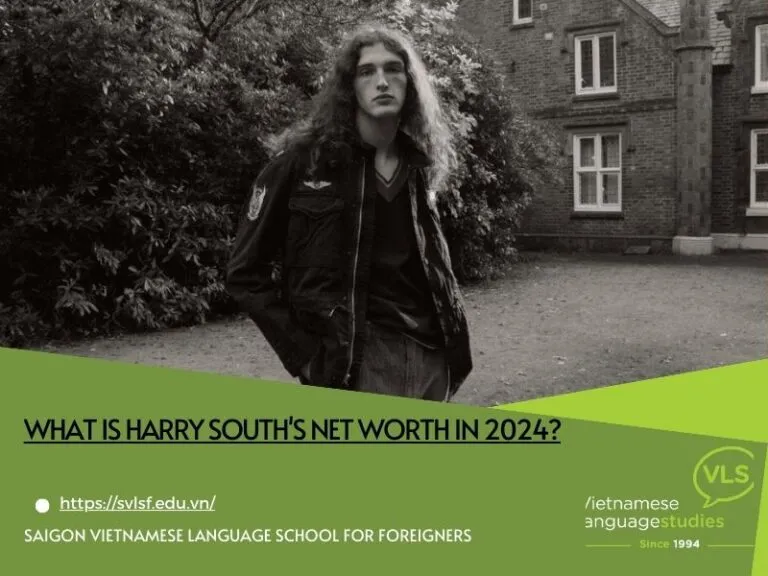 What is Harry South's net worth in 2024?