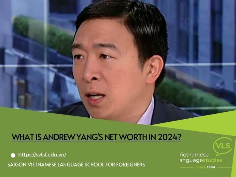 What is Andrew Yang's net worth in 2024?