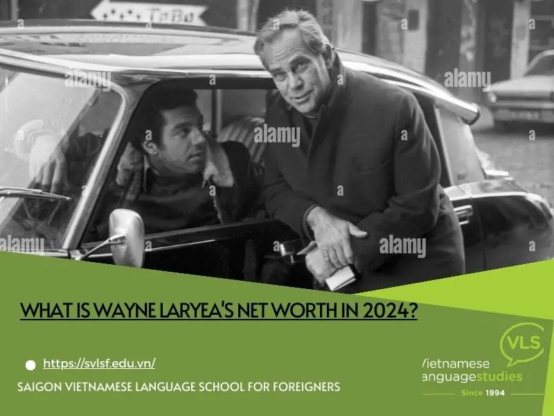 What is Wayne Laryea's net worth in 2024?